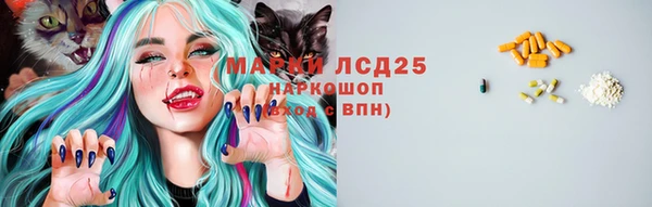 сатива Богородск