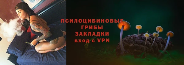 сатива Богородск