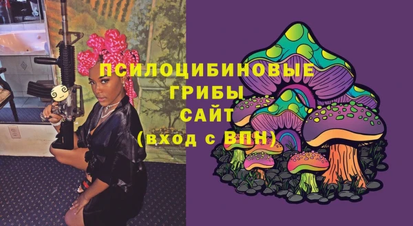 mdpv Богородицк