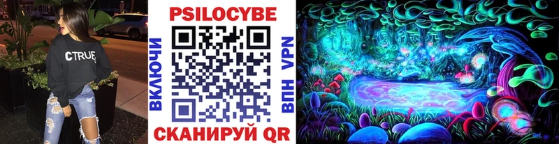 Галлюциногенные грибы Psilocybine cubensis  где купить наркоту  Горно-Алтайск 